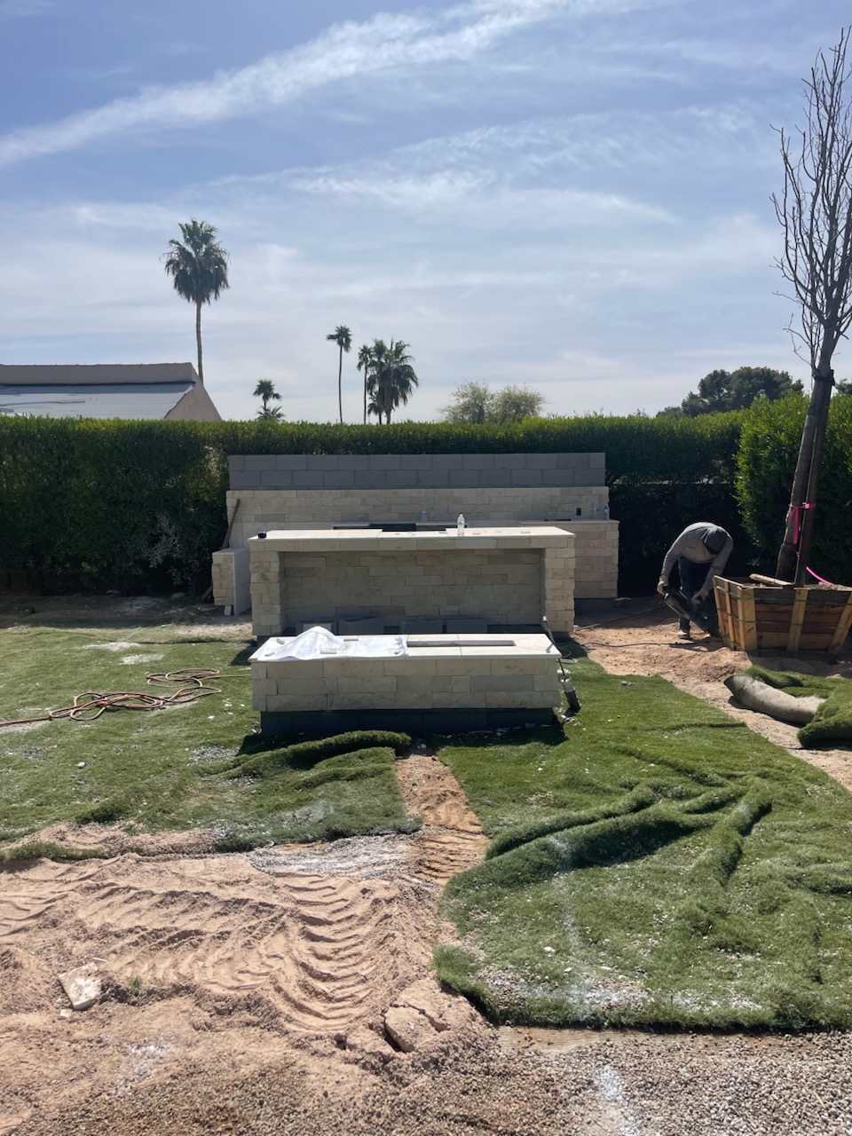 Backyard 2