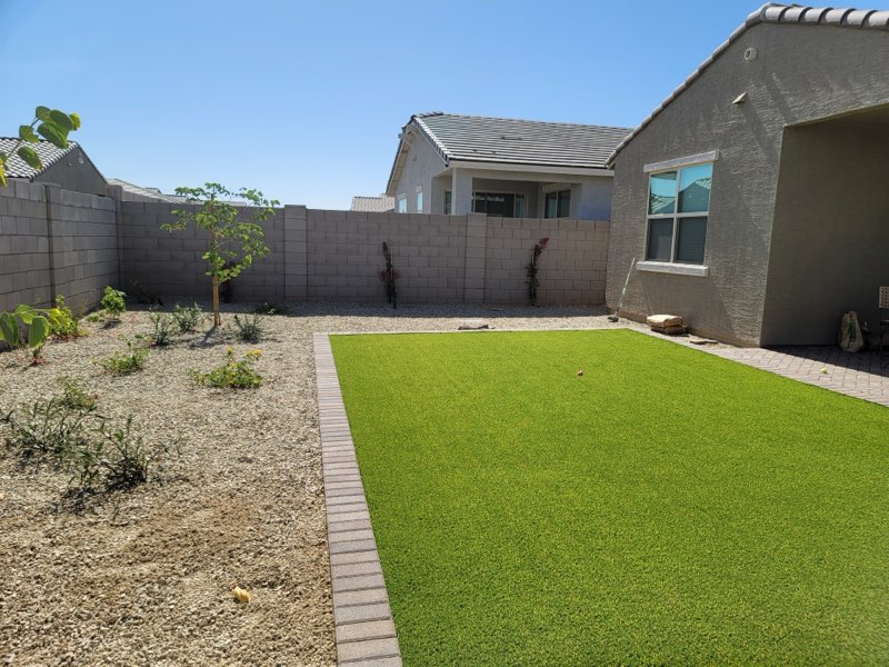 Backyard 3
